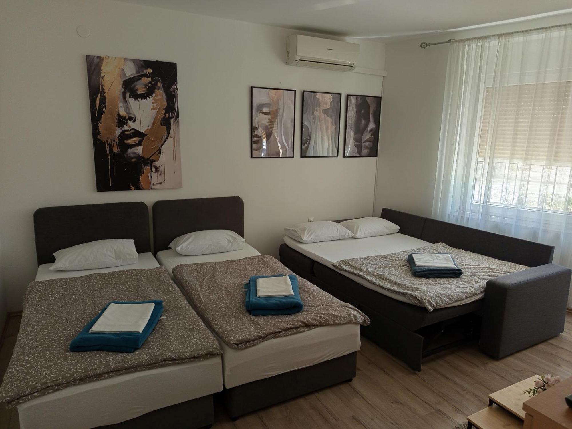 רייקה Apartman Vanja מראה חיצוני תמונה