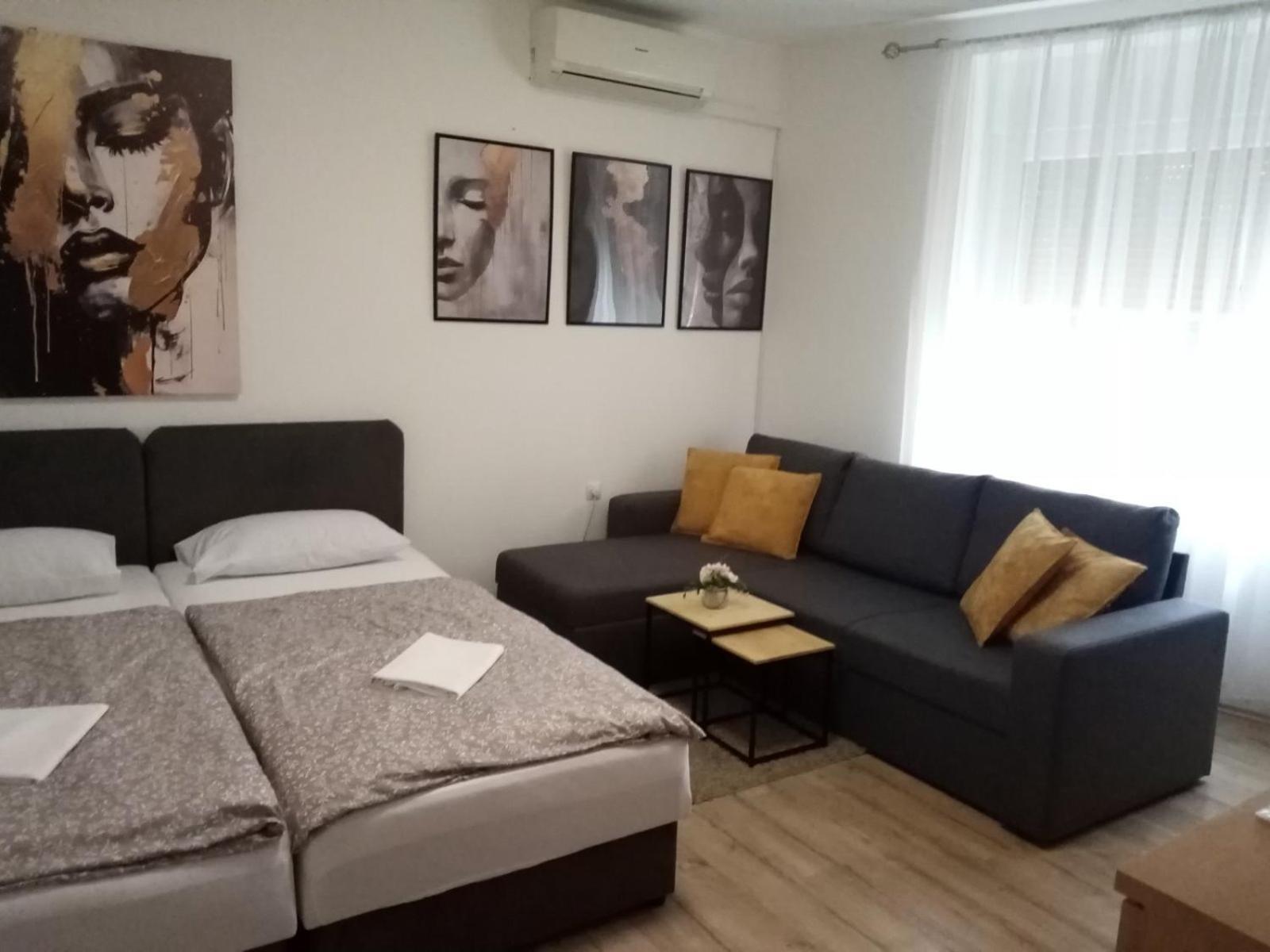 רייקה Apartman Vanja מראה חיצוני תמונה